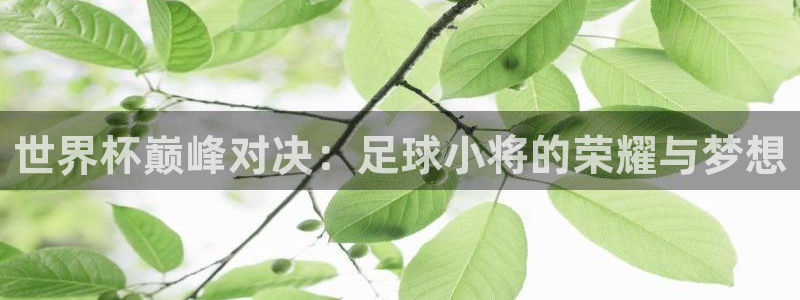 欧洲世界杯预选赛：世界杯巅峰对决：足球小将的荣耀与梦想