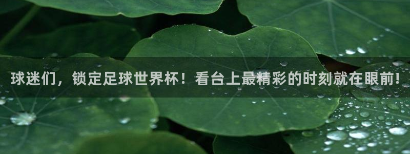 世界杯预选赛欧洲赛区积分榜：球迷们，锁定足球世界杯！看台上最精彩的时刻就在眼前!