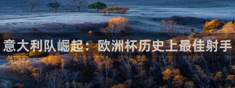 世界杯直播观看：意大利队崛起：欧洲杯历史上最佳射手