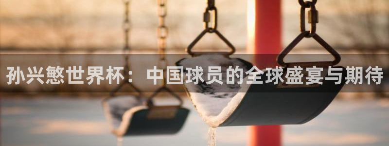 世界杯比赛：孙兴慜世界杯：中国球员的全球盛宴与期待