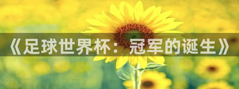 2026世界杯南美区积分榜：《足球世界杯：冠军的诞生》