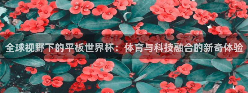 世界杯 直播：全球视野下的平板世界杯：体育与科技融合的新奇体验