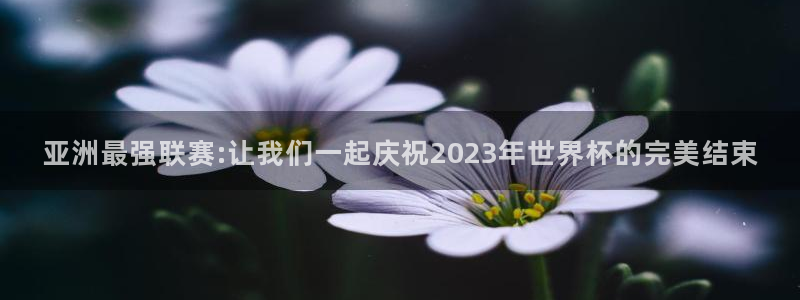 2026世界杯倒计时：亚洲最强联赛:让我们一起庆祝2023年世界杯的完美结束