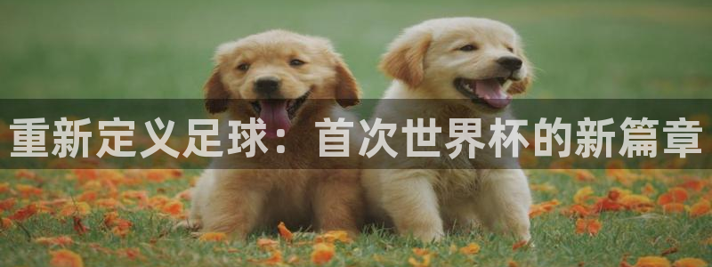 葡萄牙世界杯赛程：重新定义足球：首次世界杯的新篇章