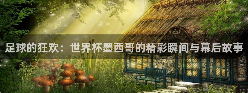2026世界杯赛：足球的狂欢：世界杯墨西哥的精彩瞬间与幕后故事