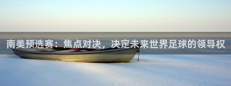 2026世界杯对阵图：南美预选赛：焦点对决，决定未来世界足球的领导权