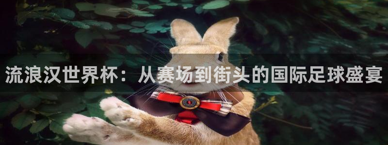 2026年世界杯赛程表时间：流浪汉世界杯：从赛场到街头的国际足球盛宴