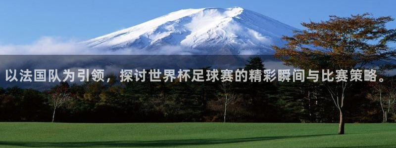 足球世界杯赛程：以法国队为引领，探讨世界杯足球赛的精彩瞬间与比赛策略。