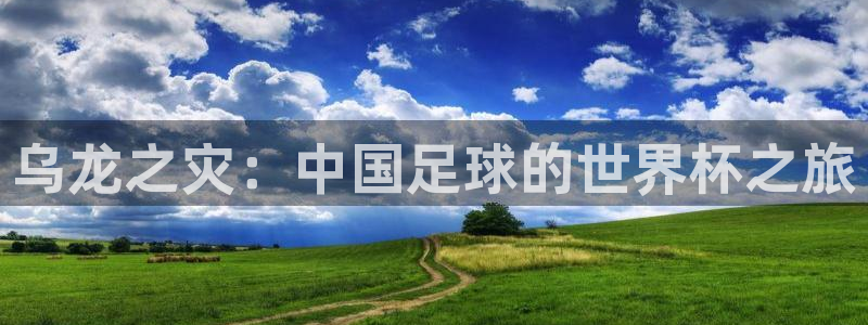世界杯预赛赛程:乌龙之灾:中国足球的世界杯之旅