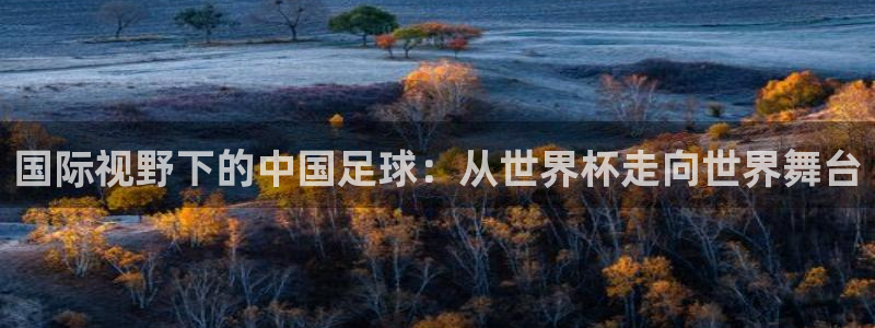 2026世界杯南美区积分榜：国际视野下的中国足球：从世界杯走向世界舞台
