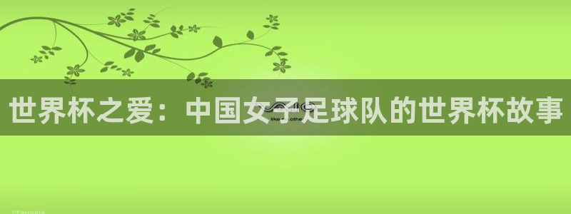 世界杯预选赛赛程时间表：世界杯之爱：中国女子足球队的世界杯故事