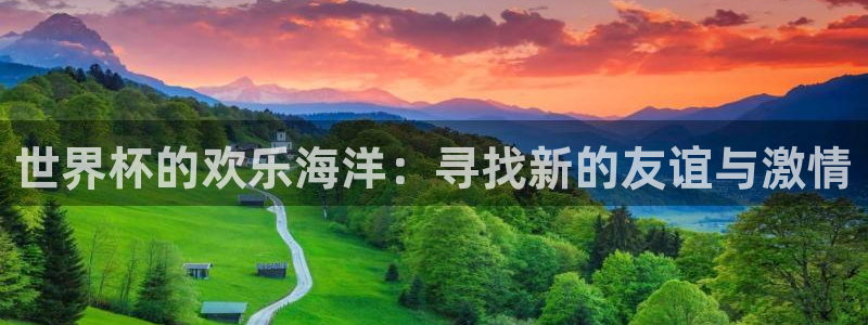 2026世界杯亚洲区预选赛：世界杯的欢乐海洋：寻找新的友谊与激情
