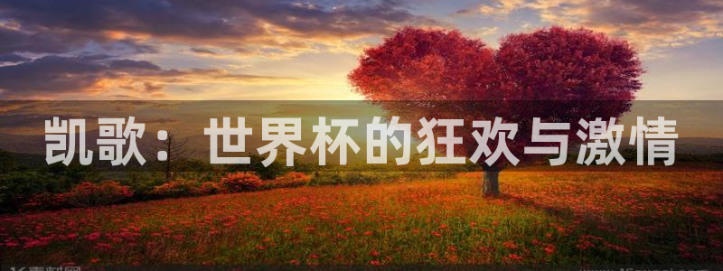 世界杯直播在线观看入口：凯歌：世界杯的狂欢与激情