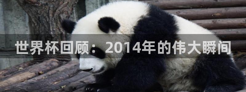 预选赛世界杯：世界杯回顾：2014年的伟大瞬间